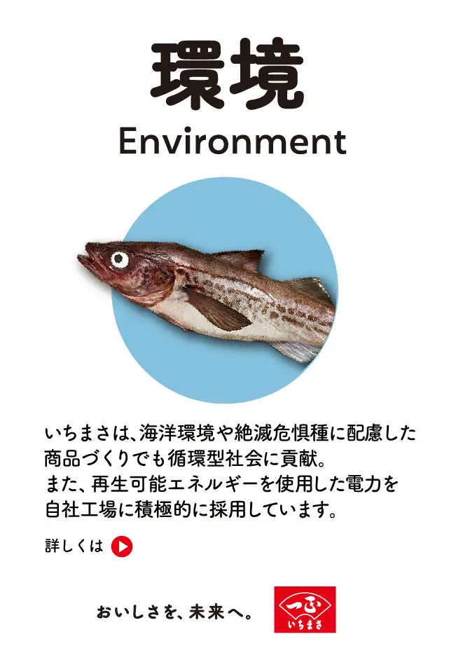 �� Environment�F�����܂��͊C�m�������Ŋ뜜��ɔz���������i�Â���ł��z�^�Љ�ɍv���B�܂��A�Đ��\�G�l���M�[���g�p�����d�͂����ЍH��ɐϋɓI�ɍ̗p���Ă��܂��B