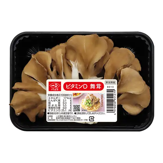 �r�^�~��D���� M�p�b�N